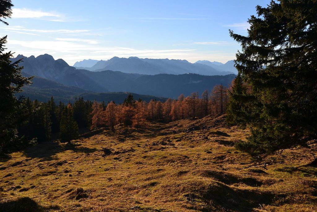 Appartement De Jutter Edelweiss à Gosau Extérieur photo